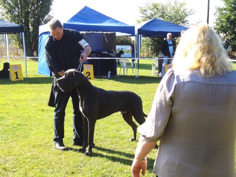 Censor Conrad von Olsland