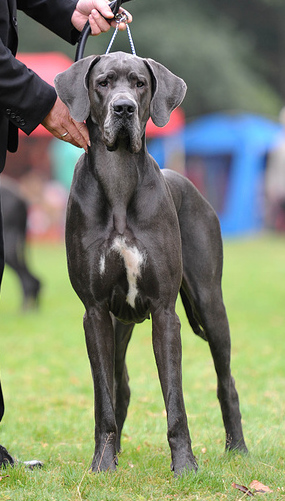 DeSign B von Olsland