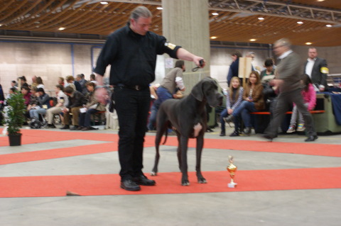 Censor Conrad von Olsland