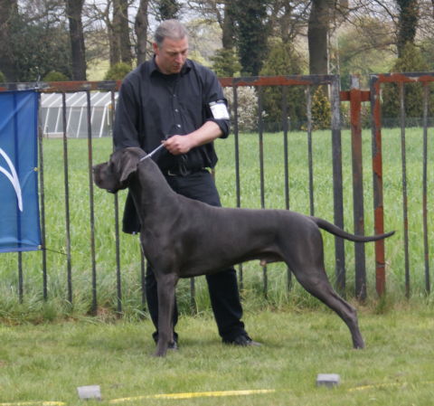 Censor Conrad von Olsland