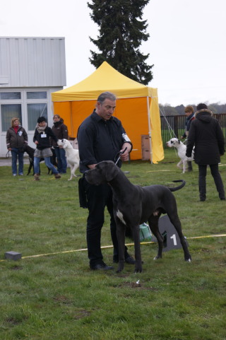 Censor Conrad von Olsland