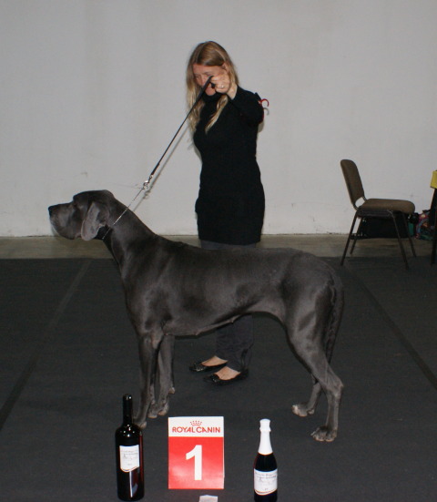 Camih ist Ortenausiegerin