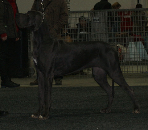 DeSign B von Olsland