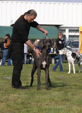 Censor Conrad von Olsland