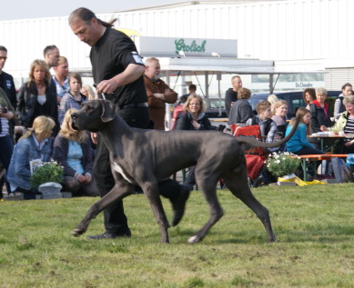 Censor Conrad von Olsland