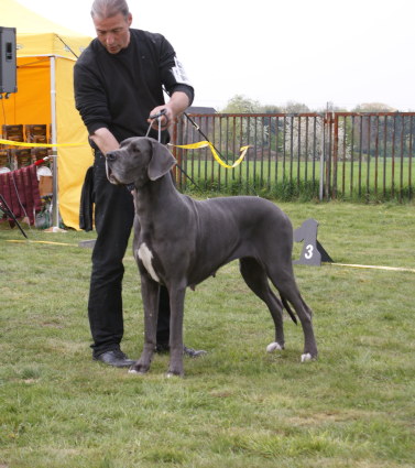 Bruna von Olsland BIS