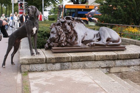 Schlafender Löwe/Lübeck