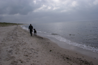 Strand von Graal-Müritz