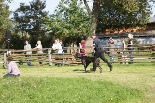 Ausstellungsring im Museum