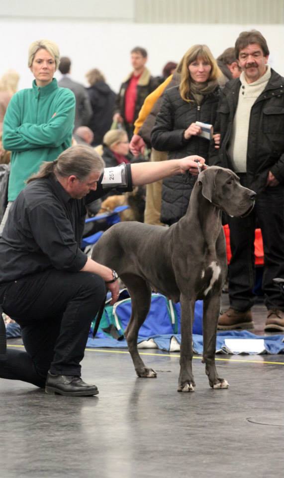 DeSign B v. Olsland J-BOB/BOB