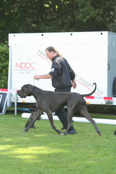 Censor Conrad von Olsland