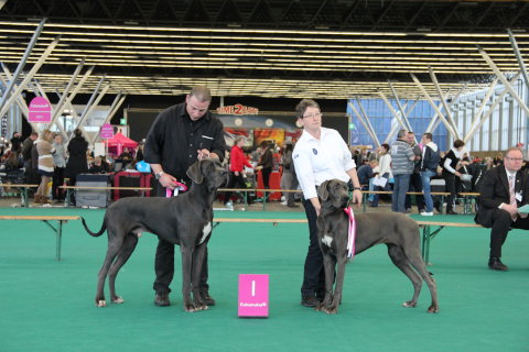 Jugendwinner Amsterdam 2011