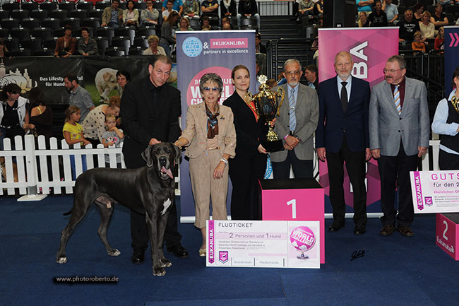 Censor Conrad von Olsland - German Dog of the Year