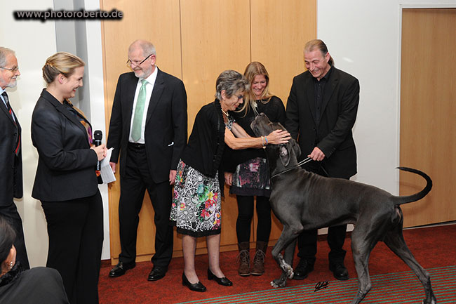 CC German Dog of the Year
