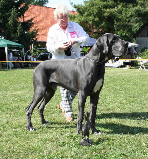 Abracadabra von Bismarck-Blue