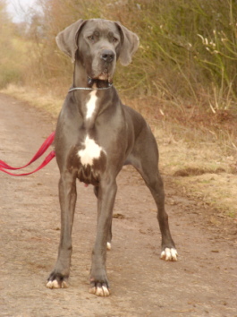 Belle von Olsland