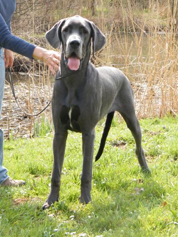 Camih von Olsland, 7 Monate