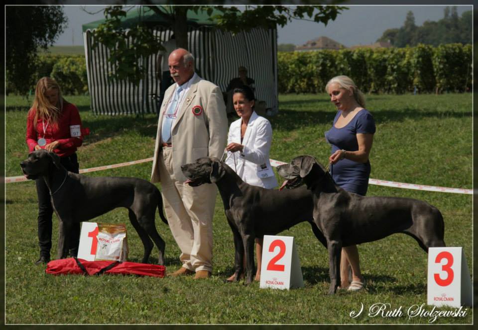 Camih von Olsland - 1. Platz Siegerklasse